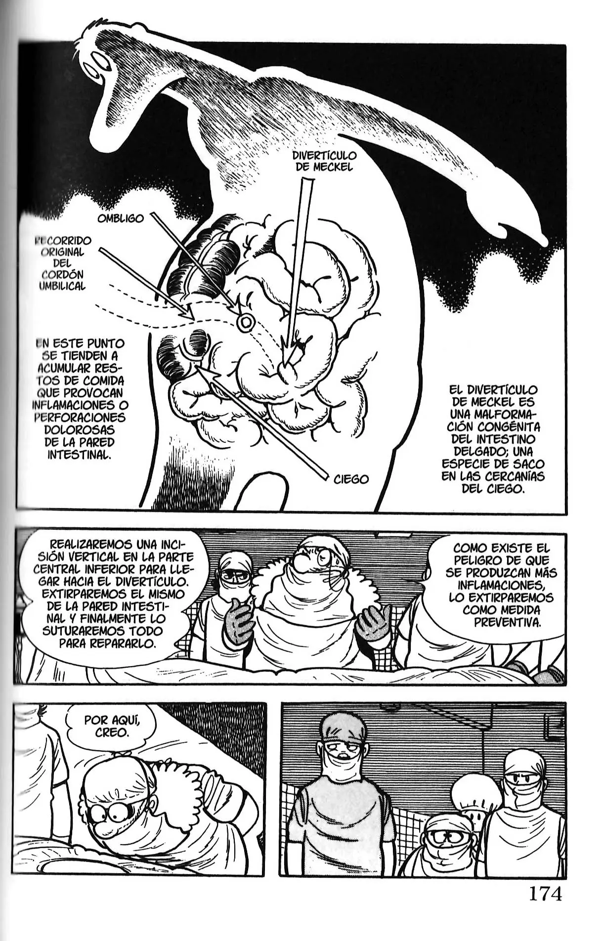 Black Jack (1973) - Capítulo 162 - Página 4 - LectorTMOo