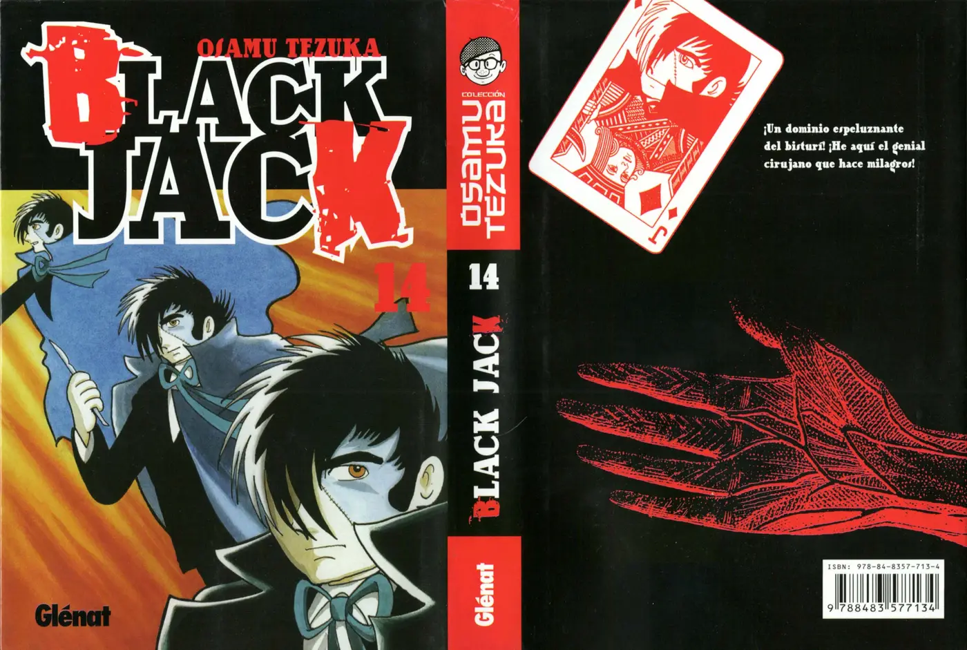 Black Jack (1973) - Capítulo 194 - Página 27 - LectorTMOo