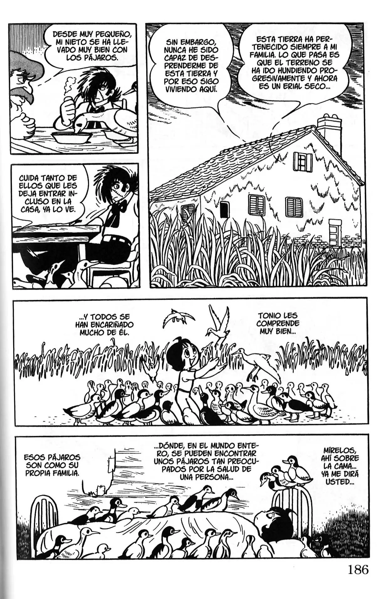 Black Jack (1973) - Capítulo 203 - Página 12 - LectorTMOo