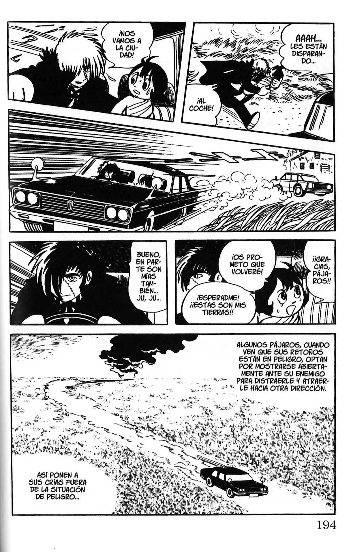 Black Jack (1973) - Capítulo 203 - Página 20 - LectorTMOo