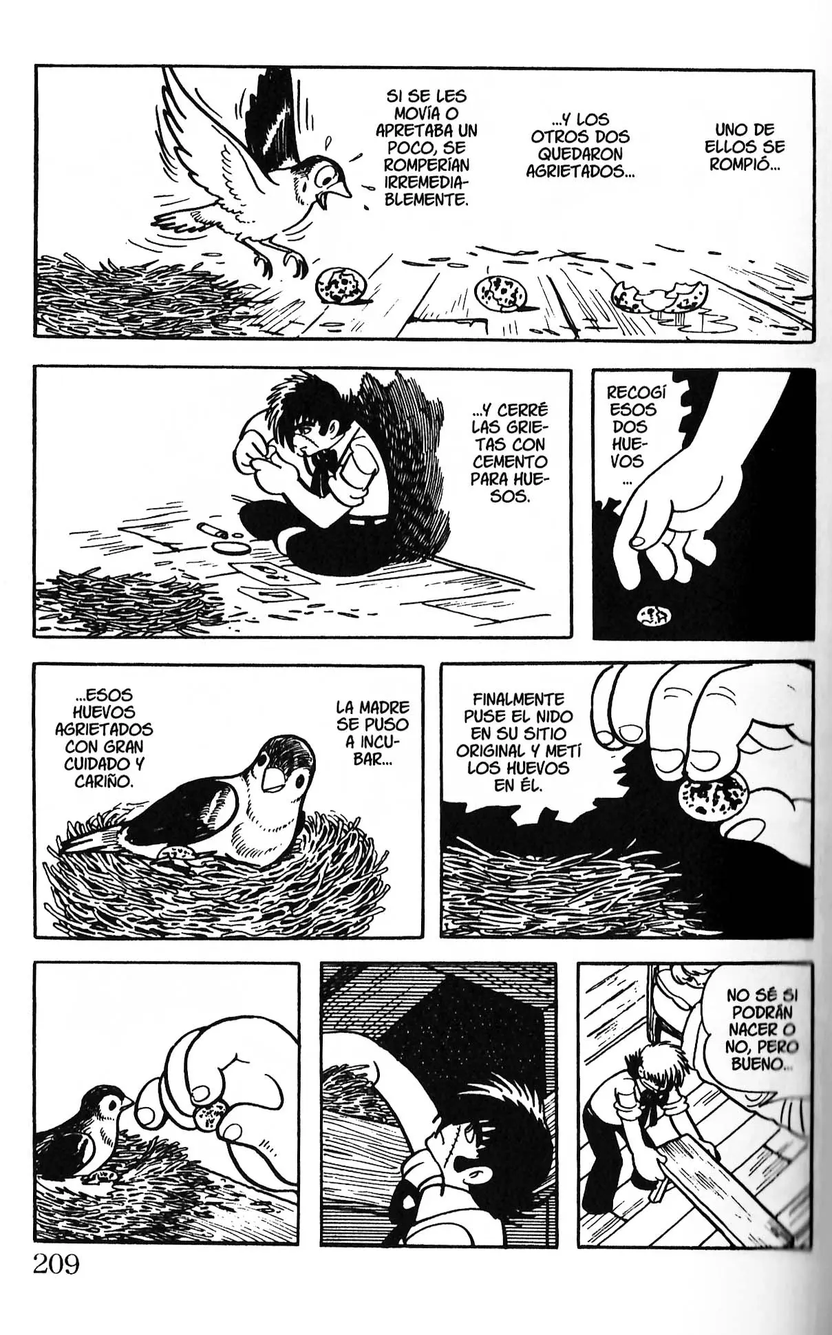 Black Jack (1973) - Capítulo 204 - Página 15 - LectorTMOo