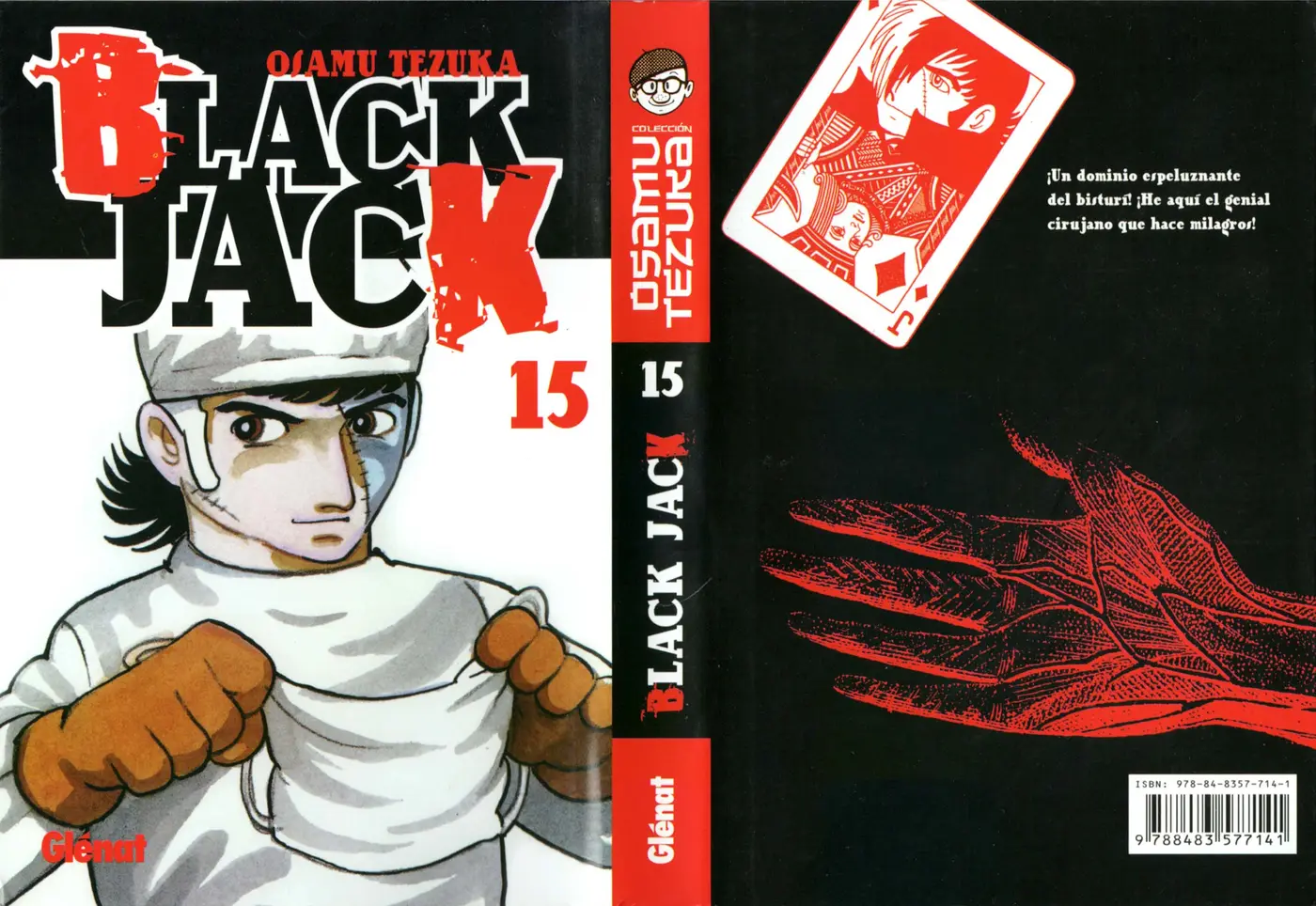 Black Jack (1973) - Capítulo 208 - Página 31 - LectorTMOo