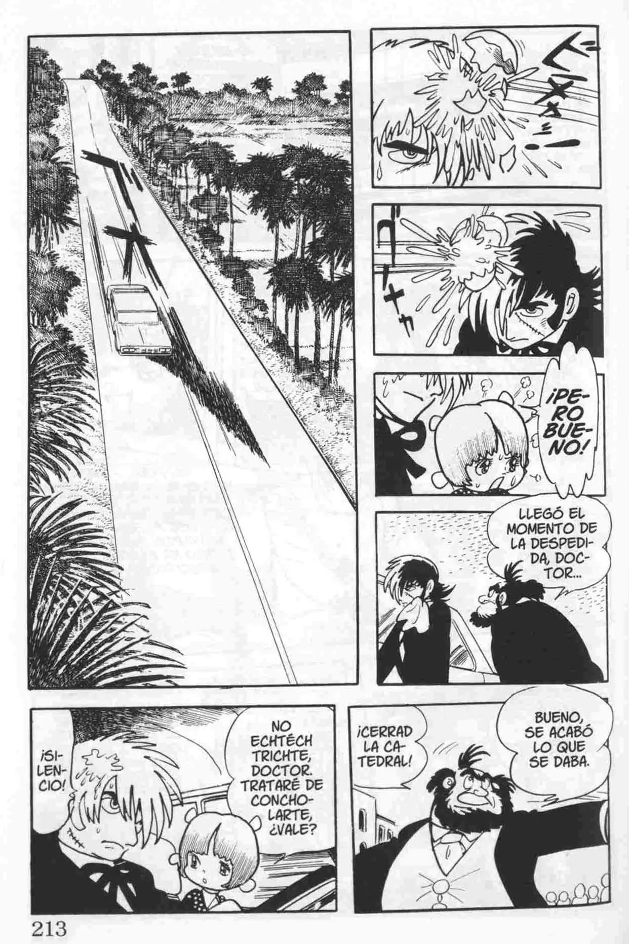 Black Jack (1973) - Capítulo 22 - Página 17 - LectorTMOo