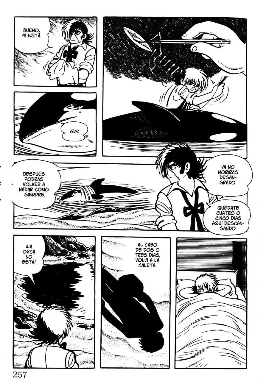 Black Jack (1973) - Capítulo 83 - Página 9 - LectorTMOo