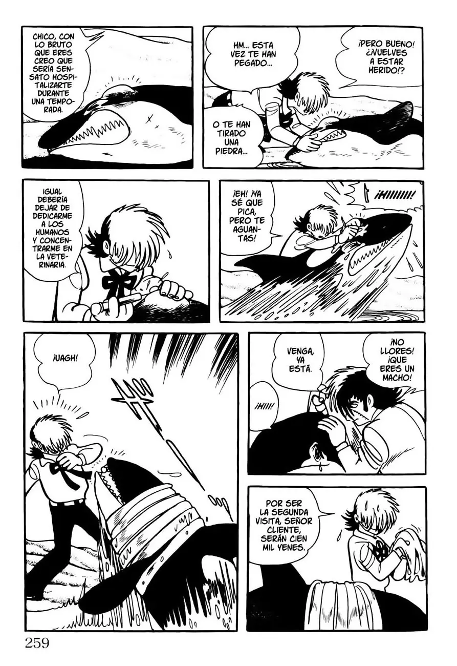 Black Jack (1973) - Capítulo 83 - Página 11 - LectorTMOo