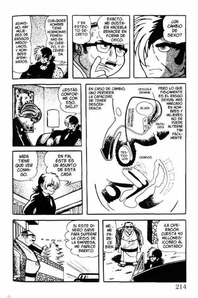 Black Jack (1973) - Capítulo 9 - Página 14 - LectorTMOo