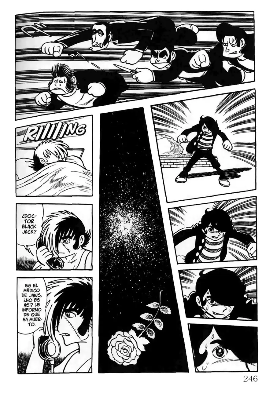 Black Jack (1973) - Capítulo 96 - Página 24 - LectorTMOo