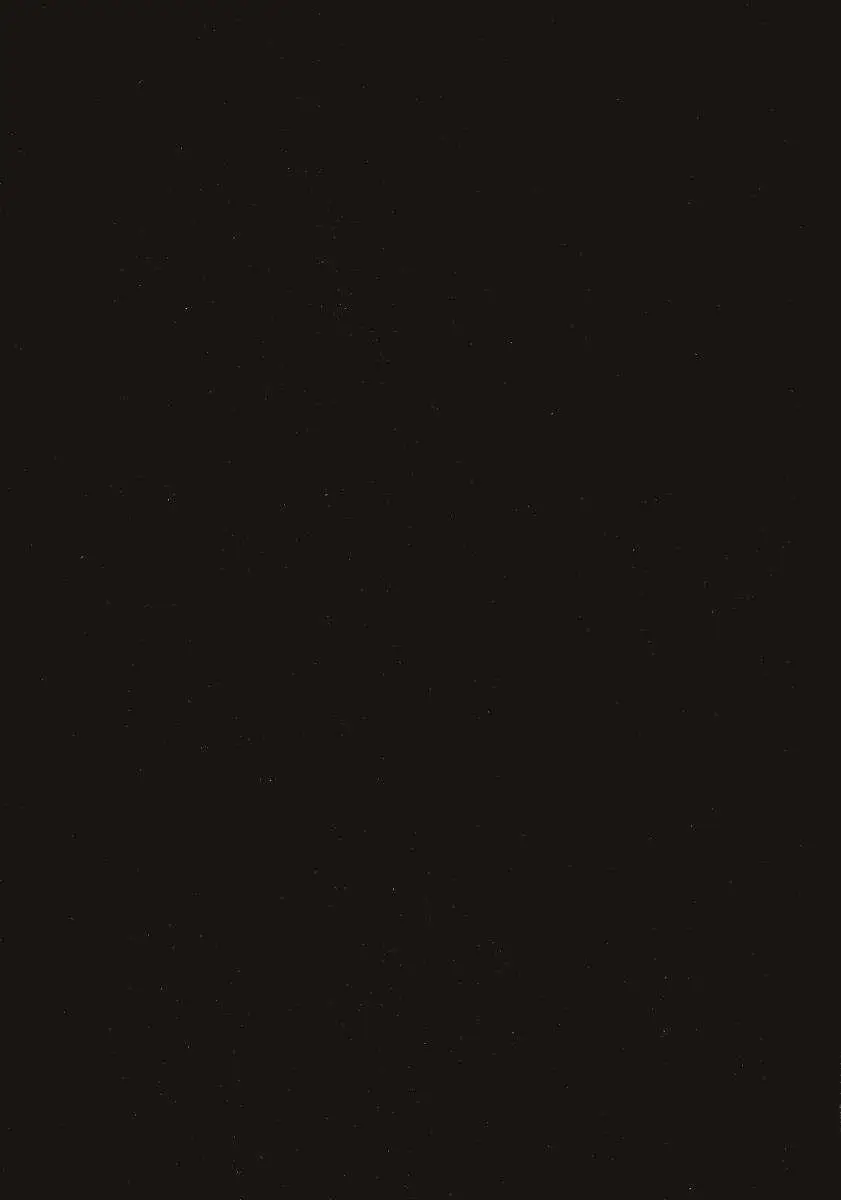 black lagoon (2019) - Capítulo  - Página 4 - LectorTMOo