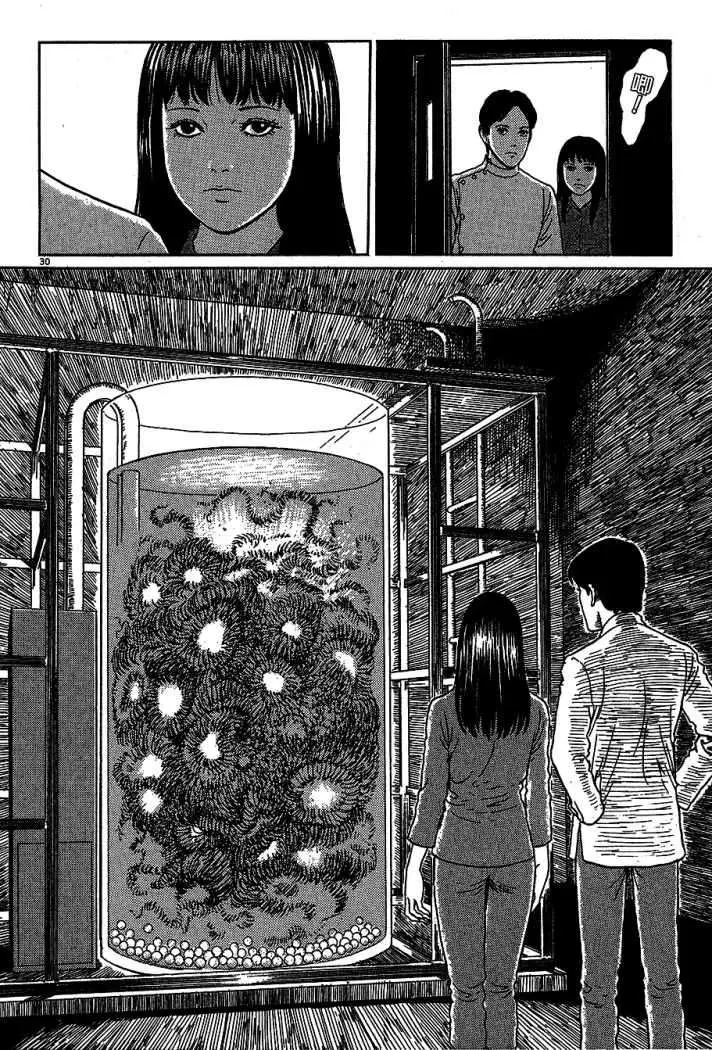 Black Paradox (2009) - Capítulo 6 - Página 30 - LectorTMOo