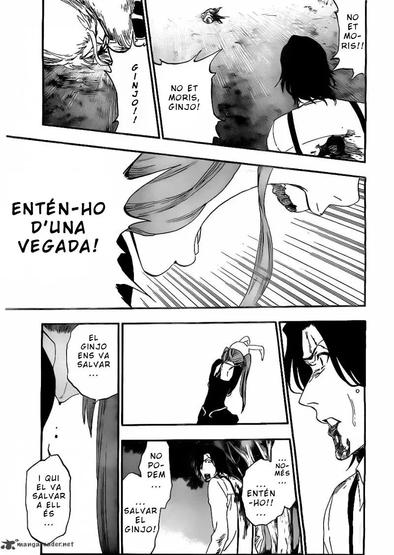 Bleach (Català) (2001) - Capítulo 477 - Página 17 - LectorTMOo