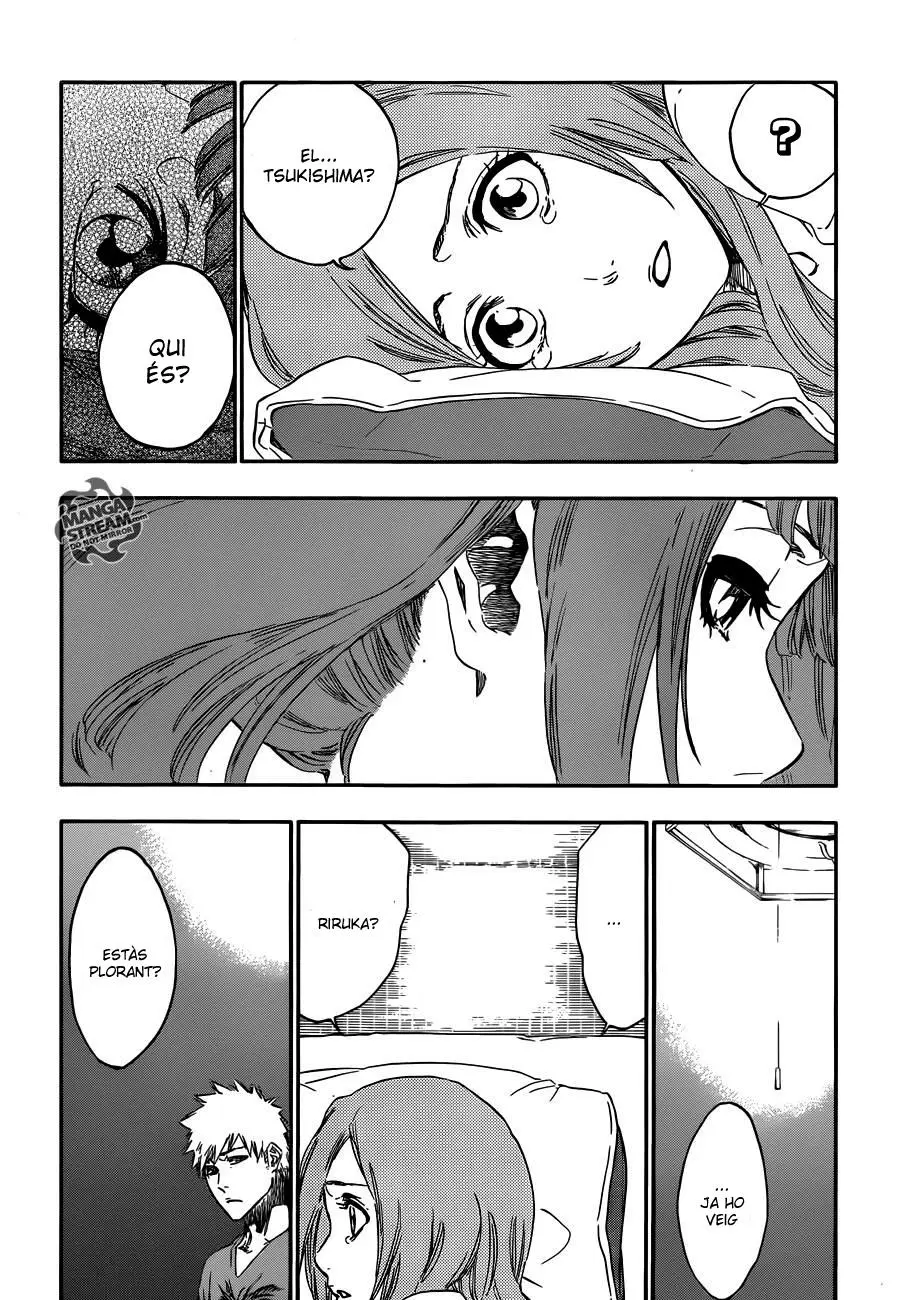 Bleach (Català) (2001) - Capítulo 478 - Página 14 - LectorTMOo