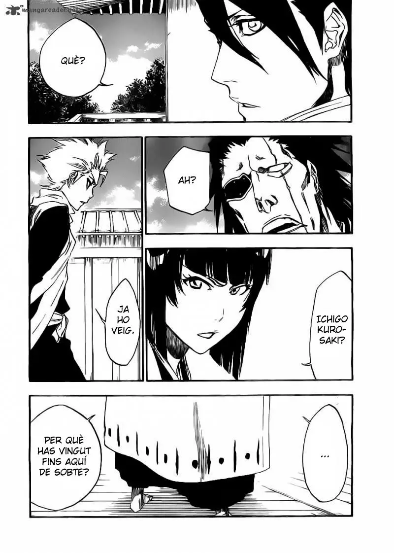 Bleach (Català) (2001) - Capítulo 479 - Página 9 - LectorTMOo
