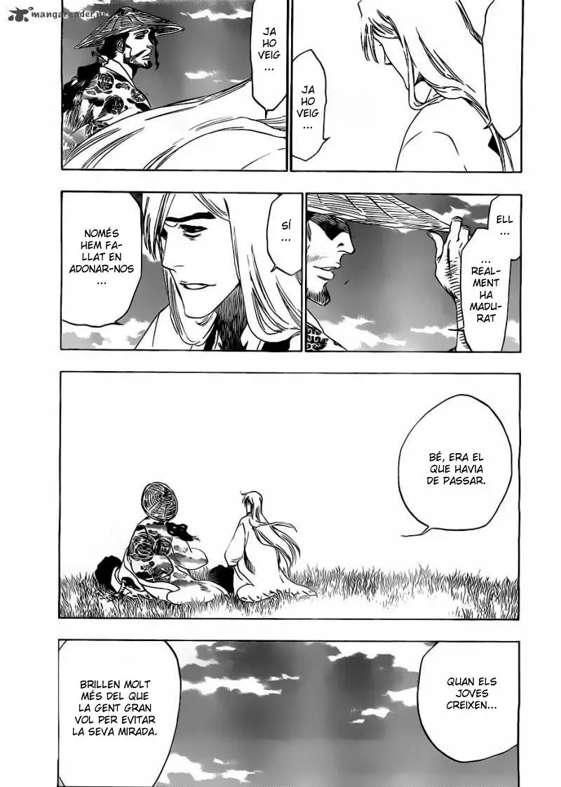 Bleach (Català) (2001) - Capítulo 479 - Página 18 - LectorTMOo