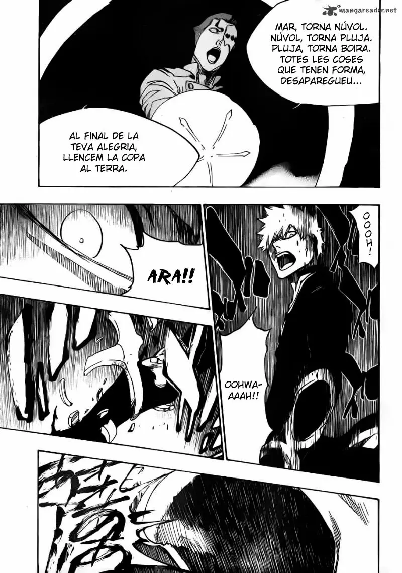 Bleach (Català) (2001) - Capítulo 483 - Página 15 - LectorTMOo