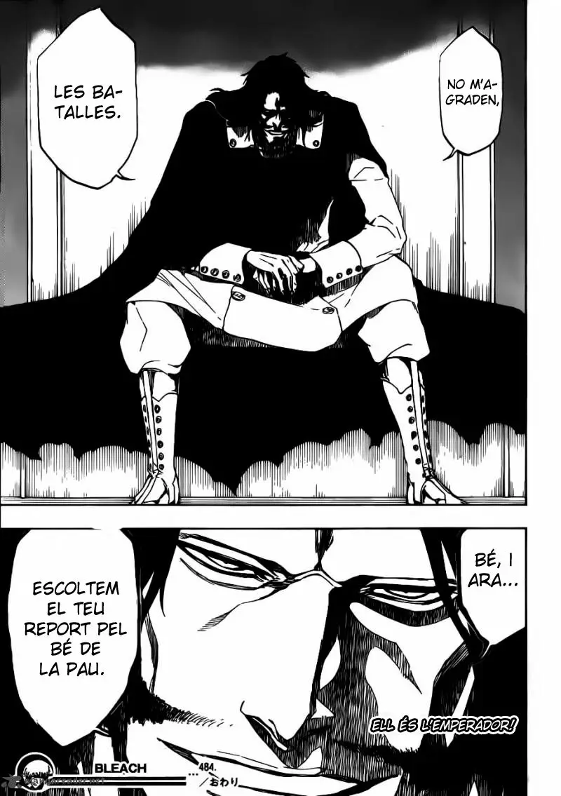 Bleach (Català) (2001) - Capítulo 484 - Página 17 - LectorTMOo