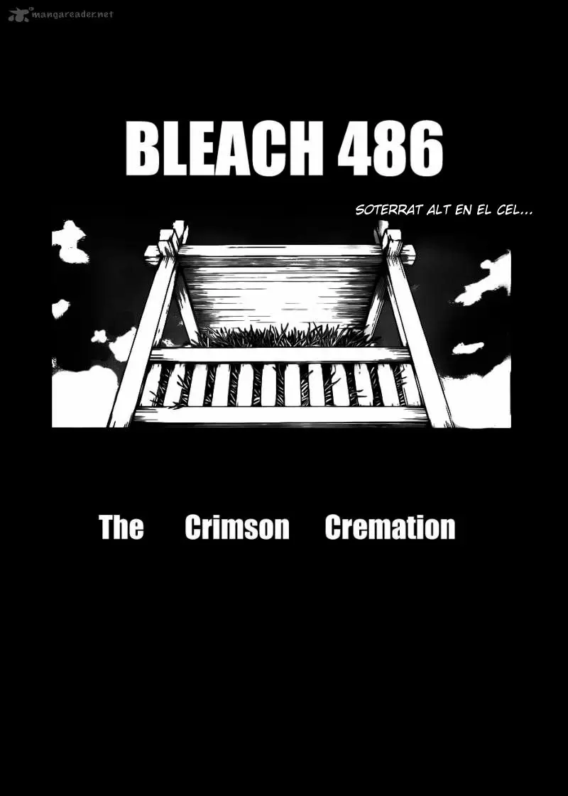 Bleach (Català) (2001) - Capítulo 486 - Página 5 - LectorTMOo