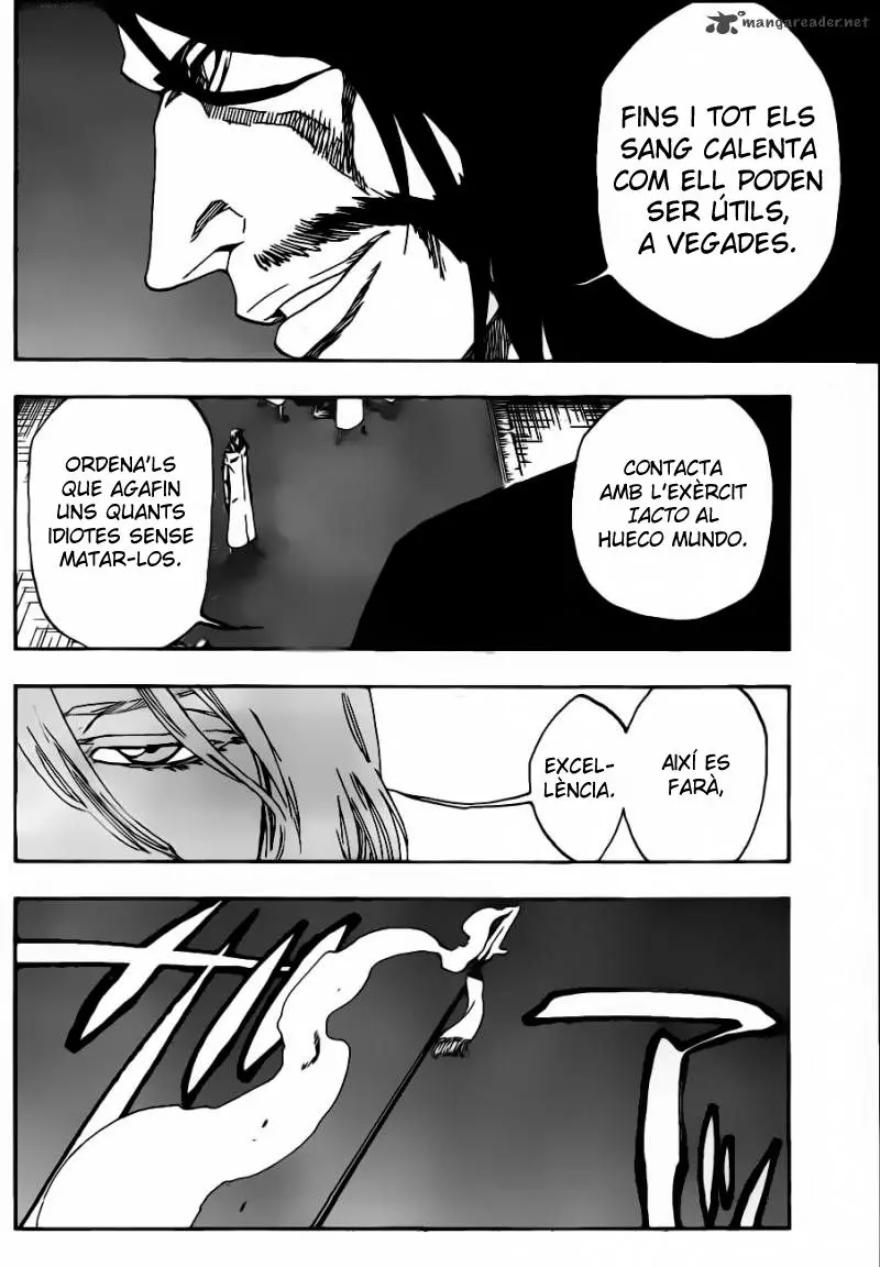 Bleach (Català) (2001) - Capítulo 486 - Página 17 - LectorTMOo