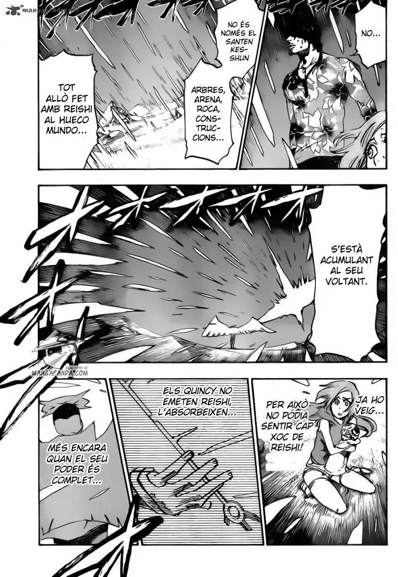 Bleach (Català) (2001) - Capítulo 491 - Página 14 - LectorTMOo