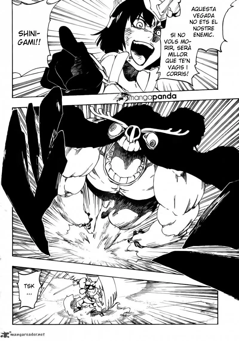 Bleach (Català) (2001) - Capítulo 492 - Página 5 - LectorTMOo