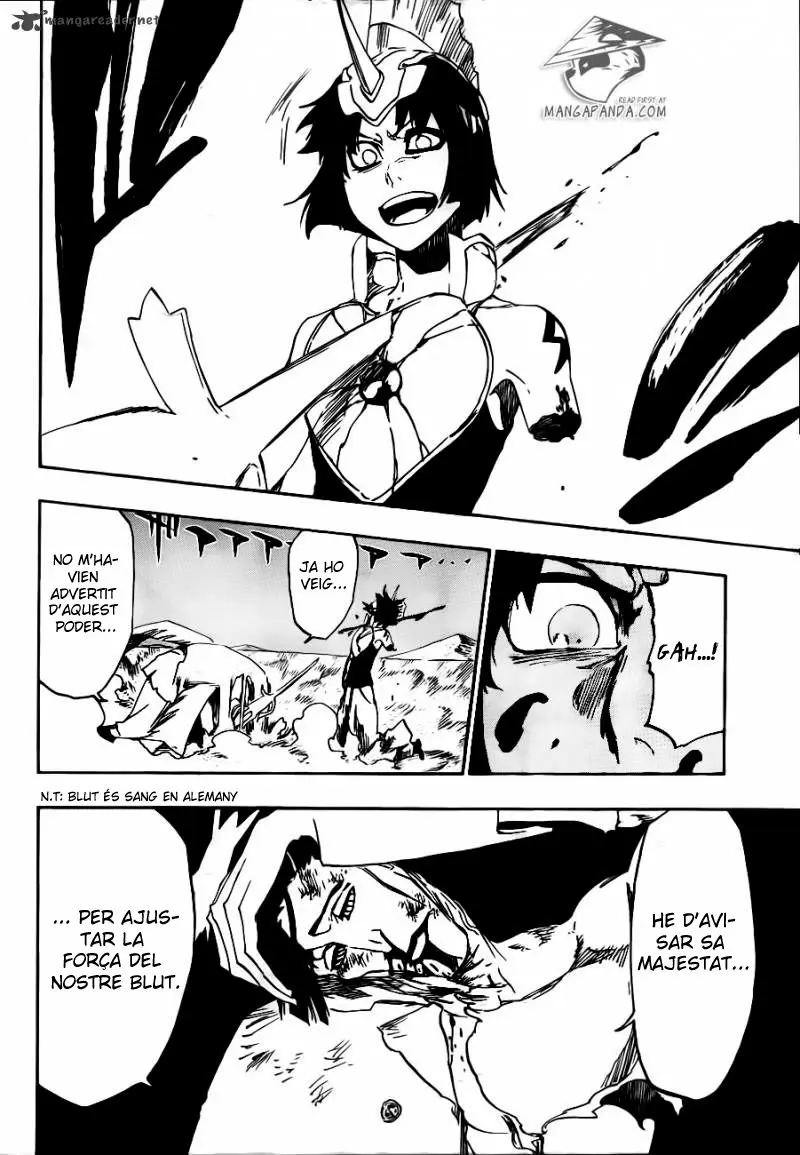 Bleach (Català) (2001) - Capítulo 492 - Página 17 - LectorTMOo