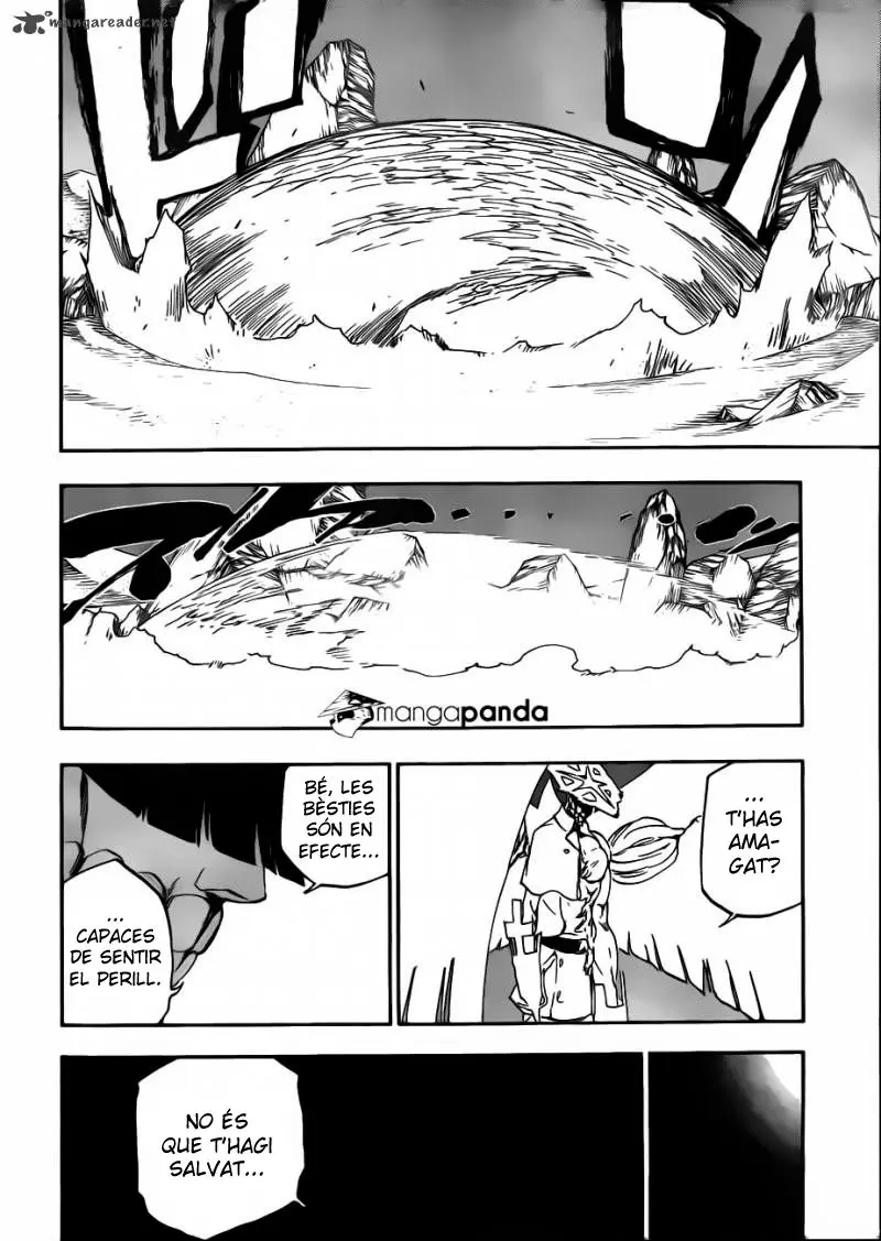 Bleach (Català) (2001) - Capítulo 493 - Página 9 - LectorTMOo