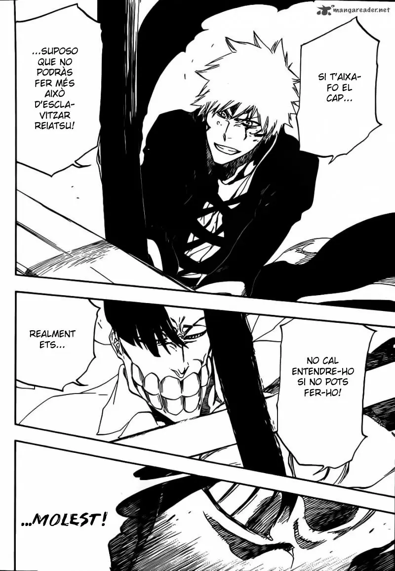 Bleach (Català) (2001) - Capítulo 493 - Página 15 - LectorTMOo