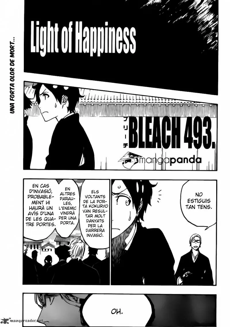 Bleach (Català) (2001) - Capítulo 493 - Página 16 - LectorTMOo