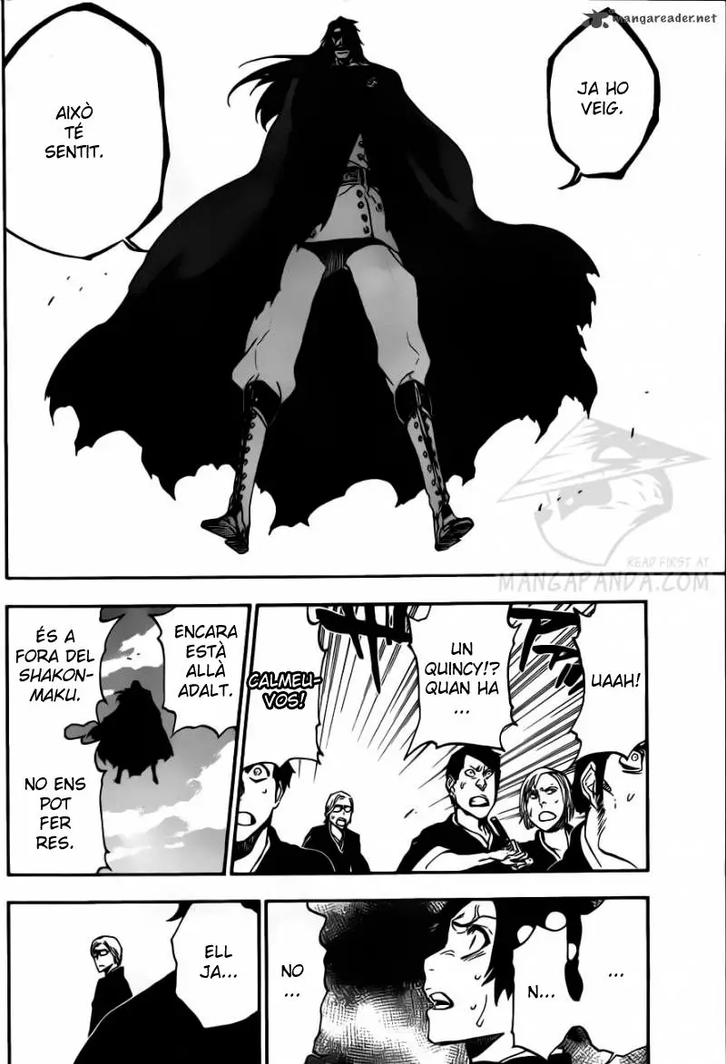 Bleach (Català) (2001) - Capítulo 493 - Página 17 - LectorTMOo