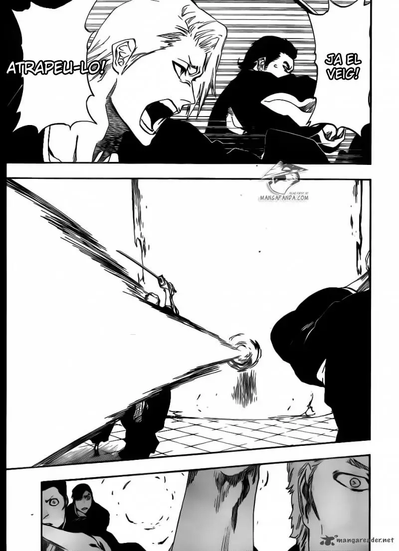 Bleach (Català) (2001) - Capítulo 494 - Página 12 - LectorTMOo
