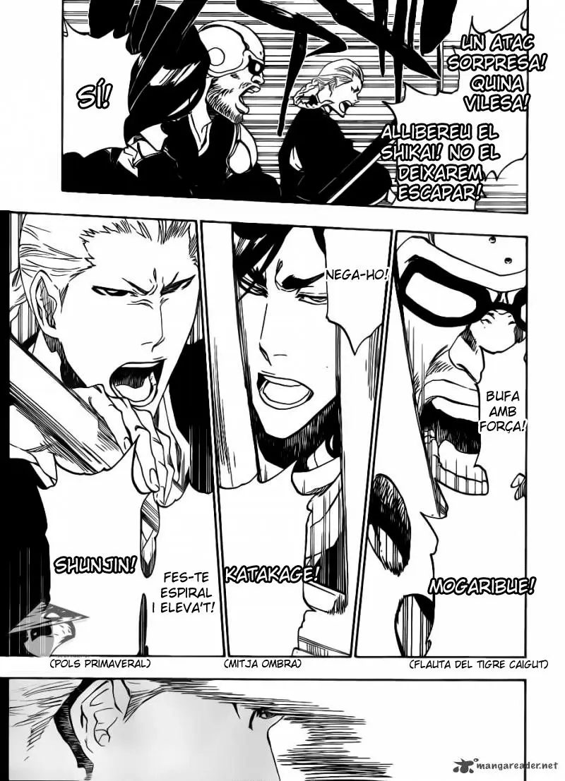 Bleach (Català) (2001) - Capítulo 494 - Página 14 - LectorTMOo