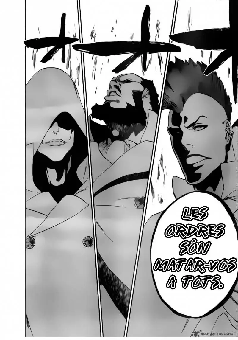 Bleach (Català) (2001) - Capítulo 494 - Página 17 - LectorTMOo