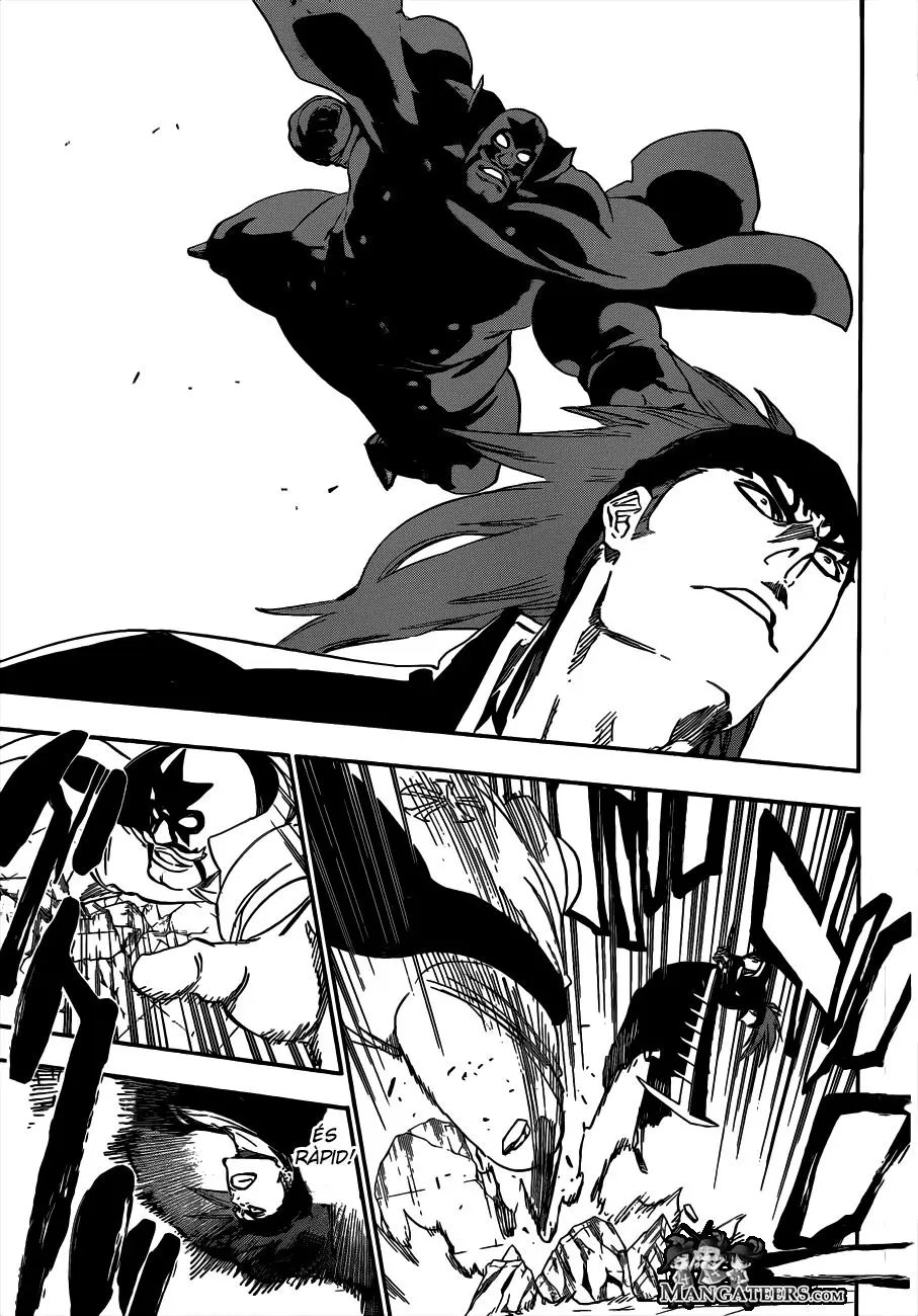 Bleach (Català) (2001) - Capítulo 495 - Página 17 - LectorTMOo