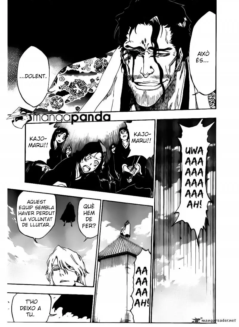 Bleach (Català) (2001) - Capítulo 497 - Página 14 - LectorTMOo