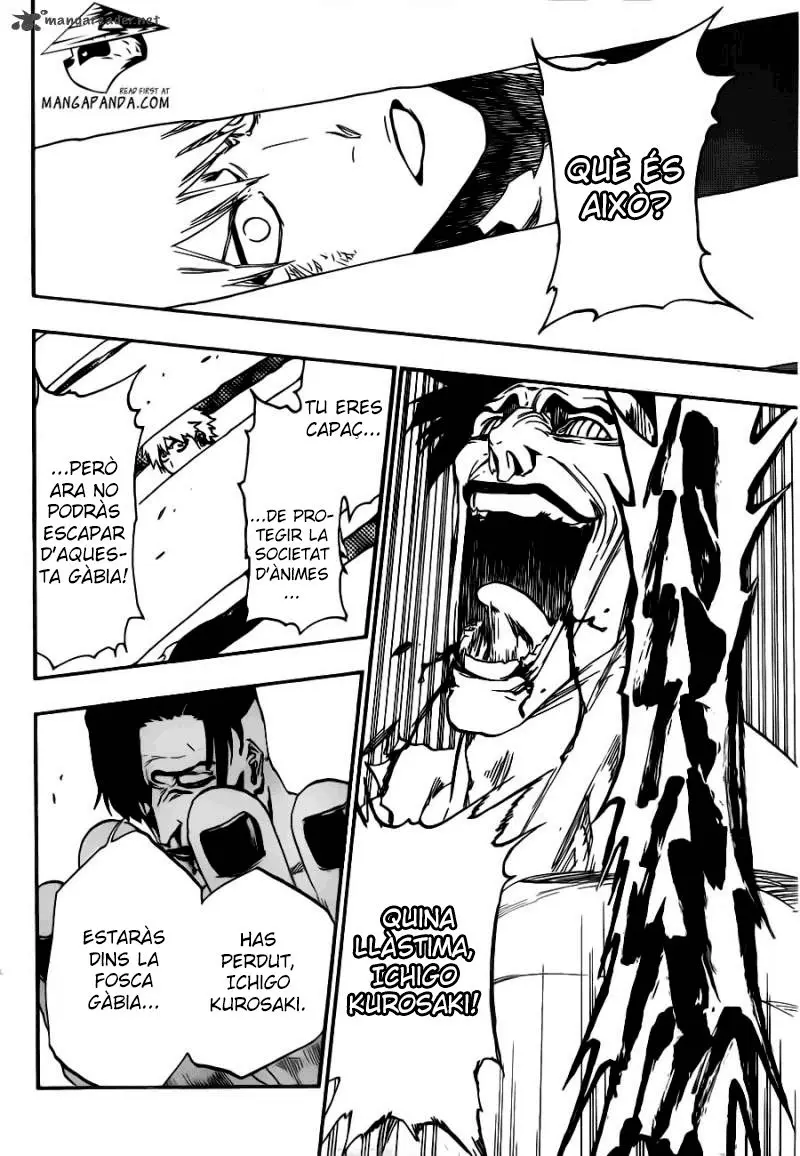 Bleach (Català) (2001) - Capítulo 499 - Página 17 - LectorTMOo