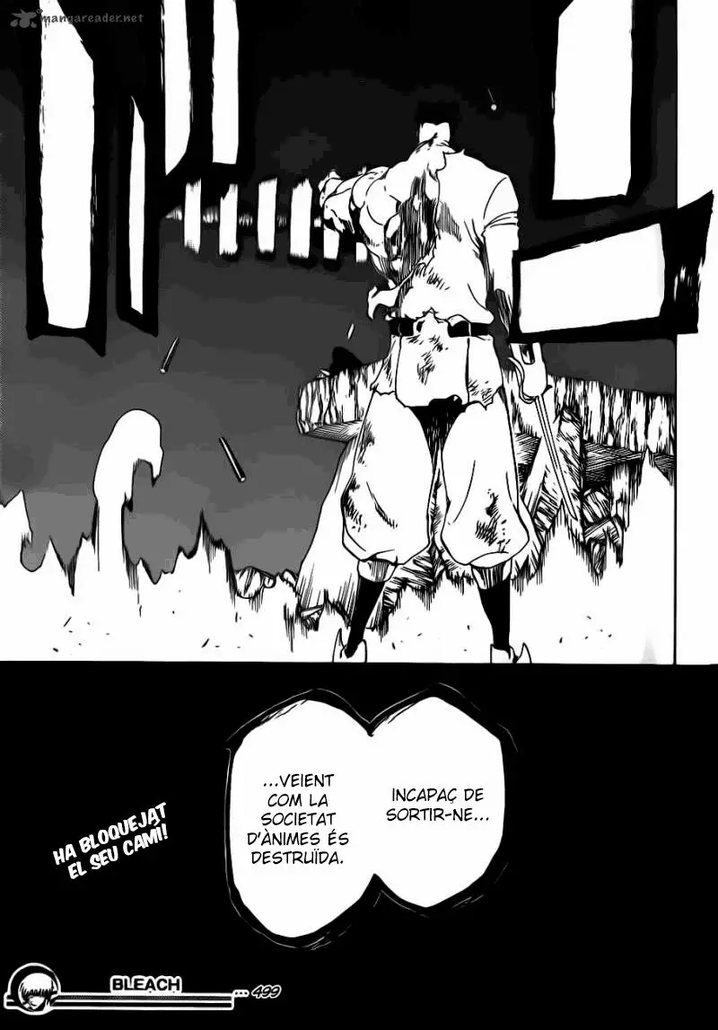 Bleach (Català) (2001) - Capítulo 499 - Página 18 - LectorTMOo
