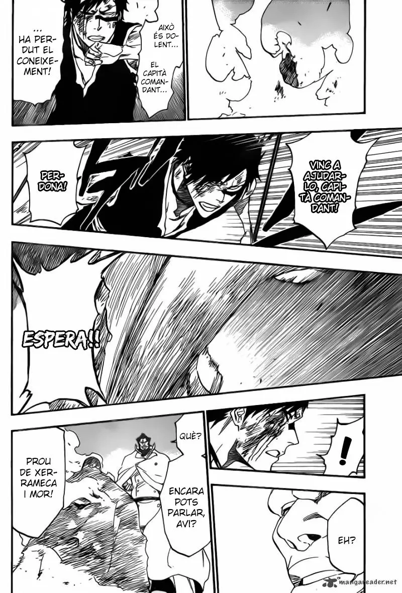 Bleach (Català) (2001) - Capítulo 504 - Página 15 - LectorTMOo