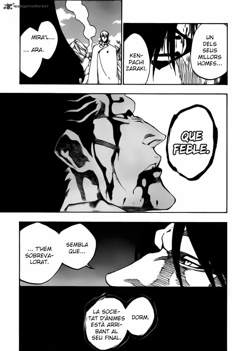 Bleach (Català) (2001) - Capítulo 505 - Página 17 - LectorTMOo