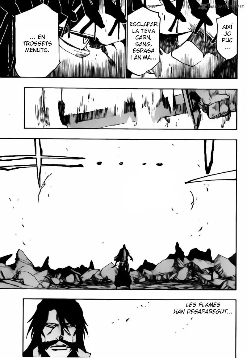 Bleach (Català) (2001) - Capítulo 506 - Página 15 - LectorTMOo