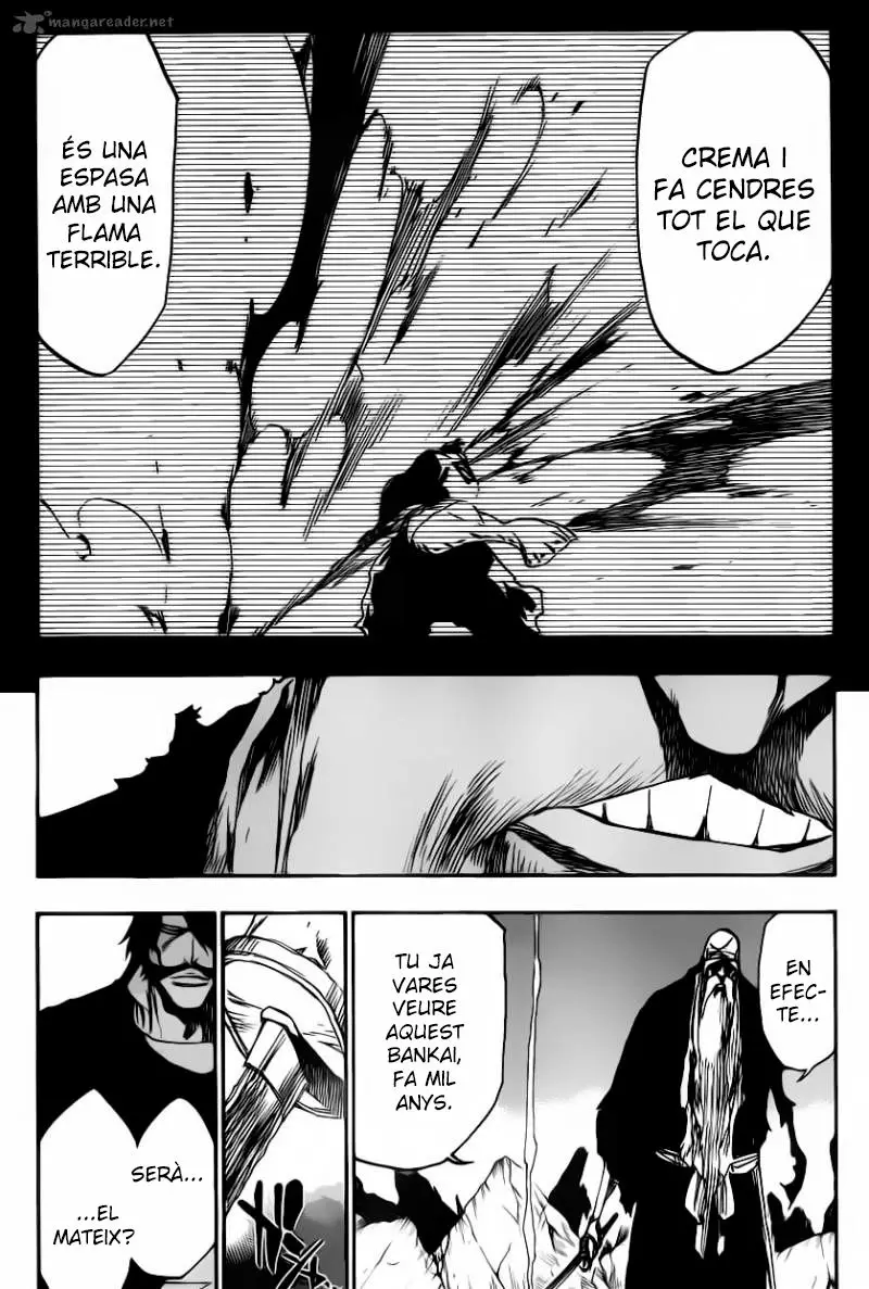 Bleach (Català) (2001) - Capítulo 507 - Página 3 - LectorTMOo