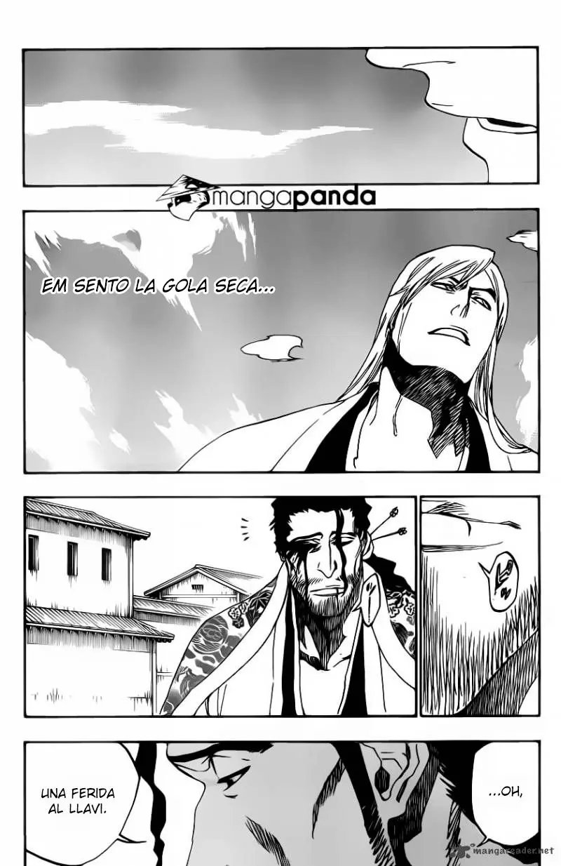 Bleach (Català) (2001) - Capítulo 507 - Página 5 - LectorTMOo