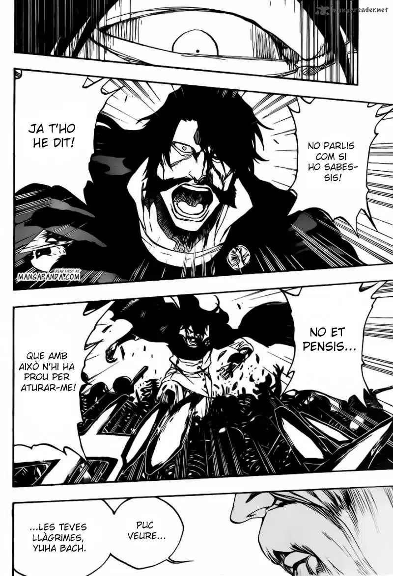 Bleach (Català) (2001) - Capítulo 509 - Página 12 - LectorTMOo