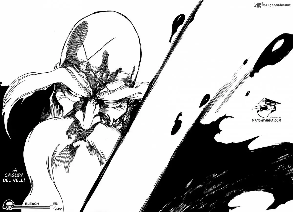 Bleach (Català) (2001) - Capítulo 510 - Página 17 - LectorTMOo