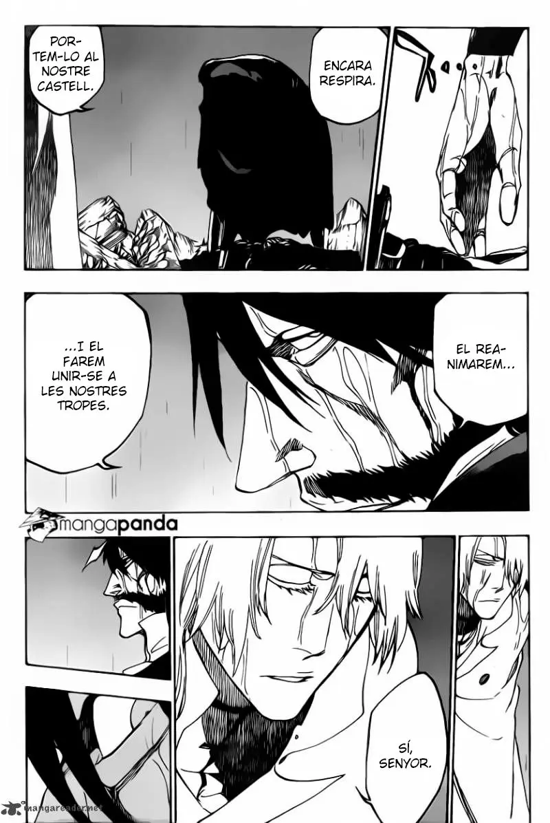 Bleach (Català) (2001) - Capítulo 513 - Página 17 - LectorTMOo