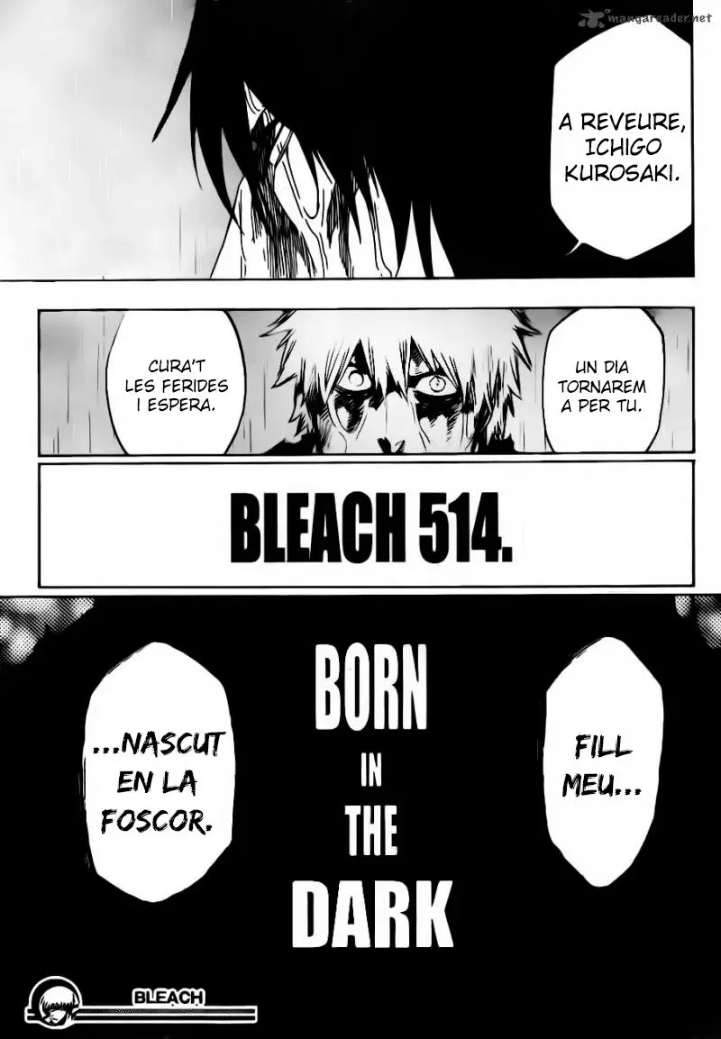 Bleach (Català) (2001) - Capítulo 514 - Página 19 - LectorTMOo