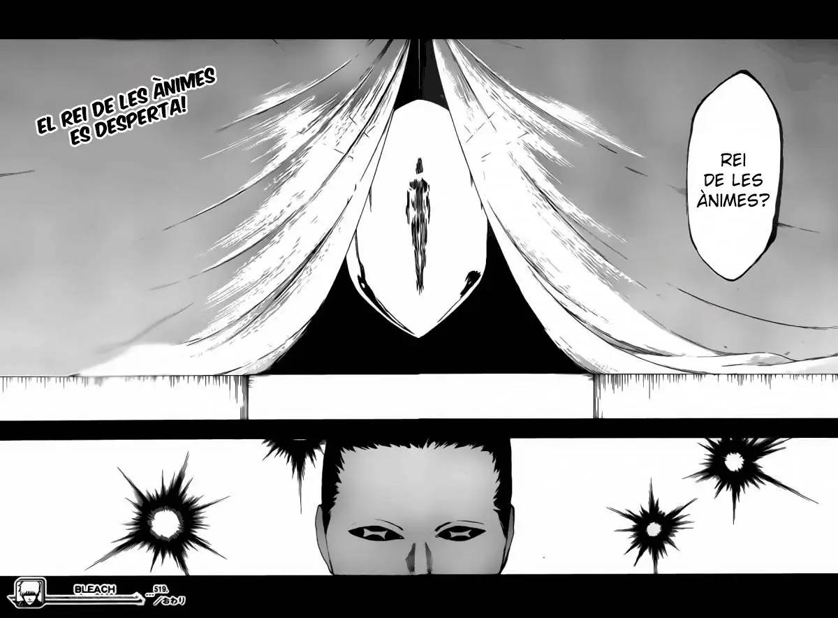 Bleach (Català) (2001) - Capítulo 519 - Página 17 - LectorTMOo