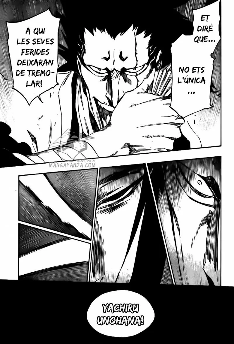 Bleach (Català) (2001) - Capítulo 523 - Página 17 - LectorTMOo