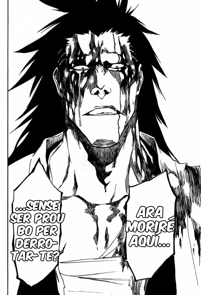 Bleach (Català) (2001) - Capítulo 524 - Página 25 - LectorTMOo