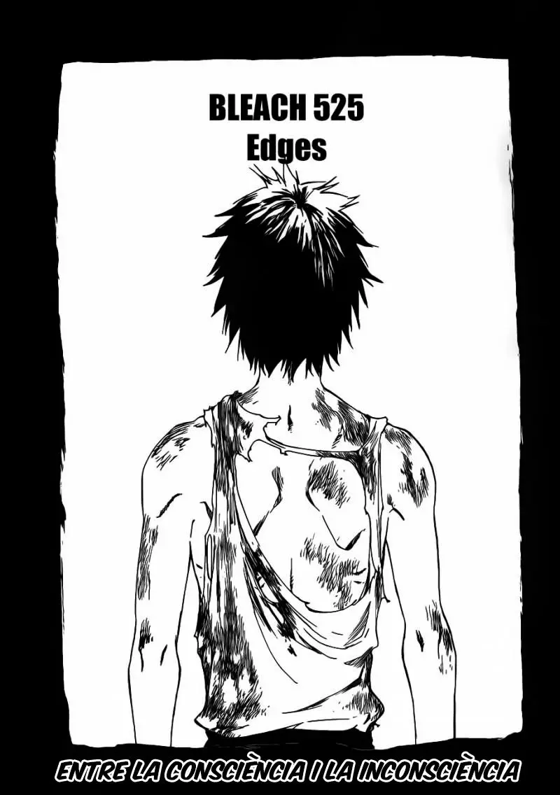 Bleach (Català) (2001) - Capítulo 525 - Página 7 - LectorTMOo
