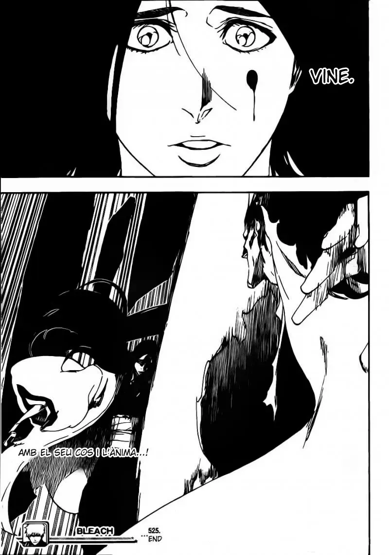 Bleach (Català) (2001) - Capítulo 525 - Página 31 - LectorTMOo