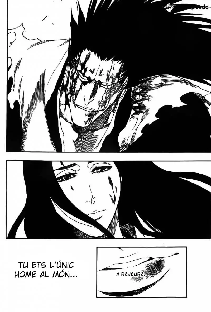 Bleach (Català) (2001) - Capítulo 526 - Página 17 - LectorTMOo